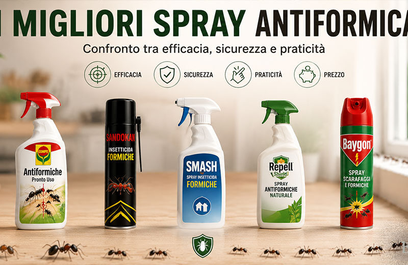I 5 migliori spray antiformica del 2026: quale scegliere per casa, balcone e giardino