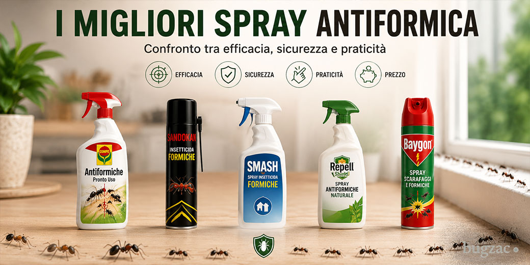 I 5 migliori spray antiformica del 2026: quale scegliere per casa, balcone e giardino