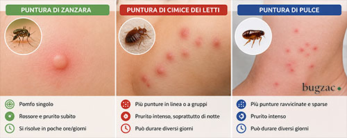 differenza tra puntura di zanzara, cimice dei letti e pulce